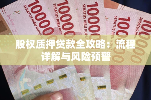 北京股权质押贷款全攻略：流程详解与风险预警