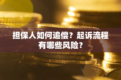北京担保人如何追偿？起诉流程有哪些风险？