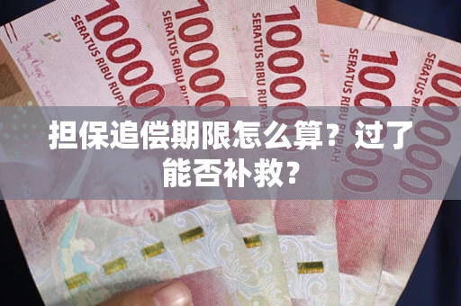 北京担保追偿期限怎么算？过了能否补救？